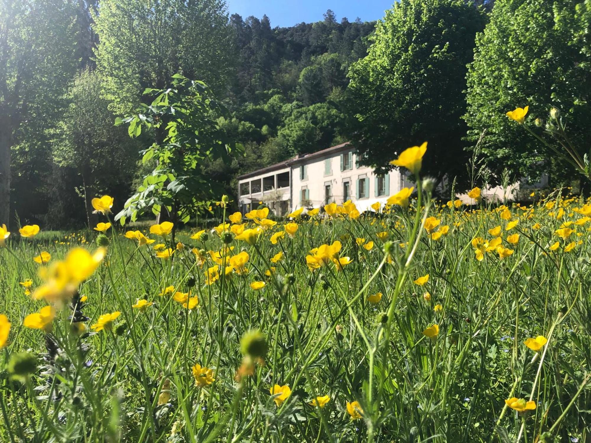 Chateau Du Fraissinet, 6 Gites Sleeping 2-8 Guests, Pool And River On Site La Tronche  Extérieur photo