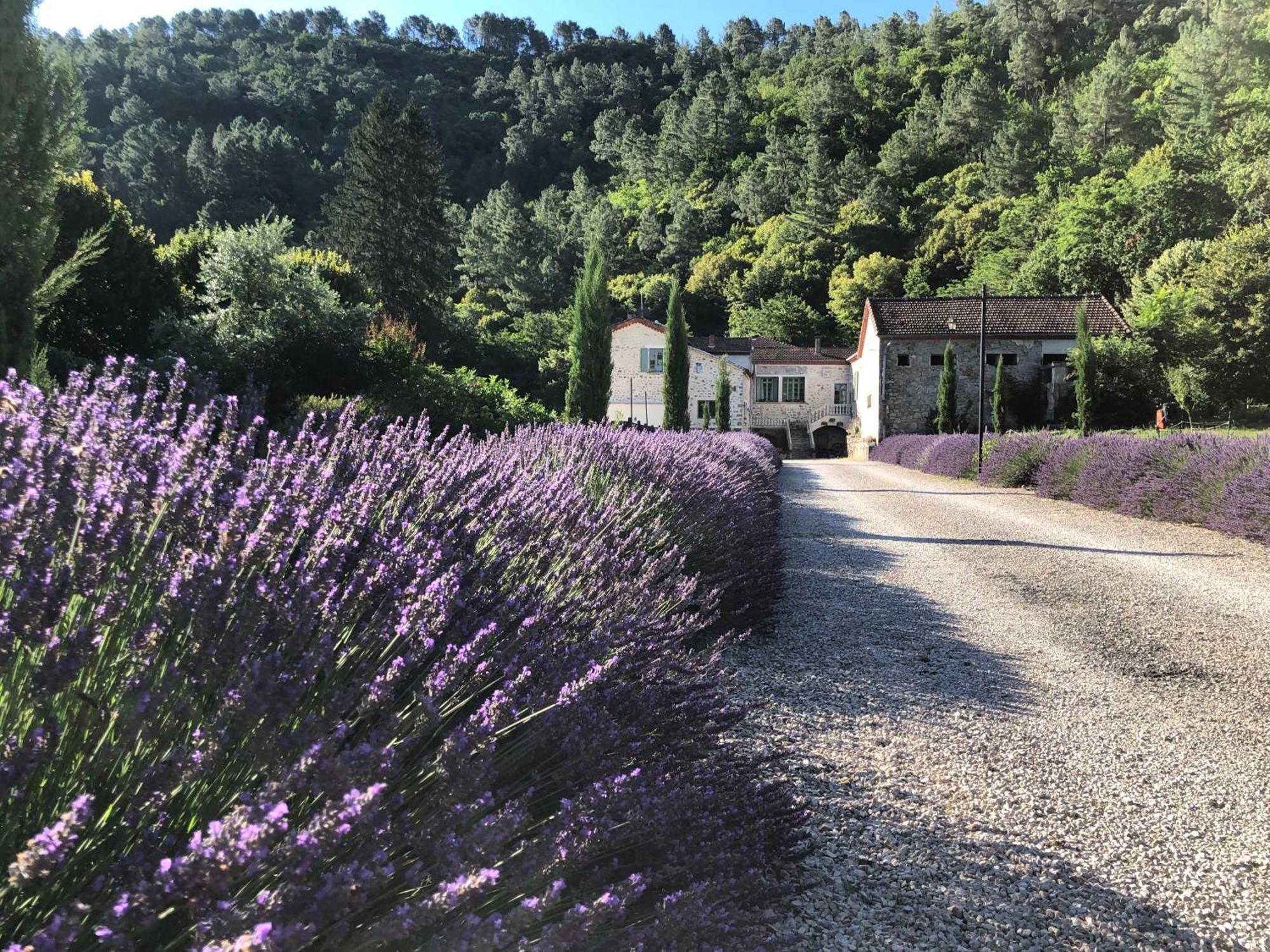 Chateau Du Fraissinet, 6 Gites Sleeping 2-8 Guests, Pool And River On Site La Tronche  Extérieur photo